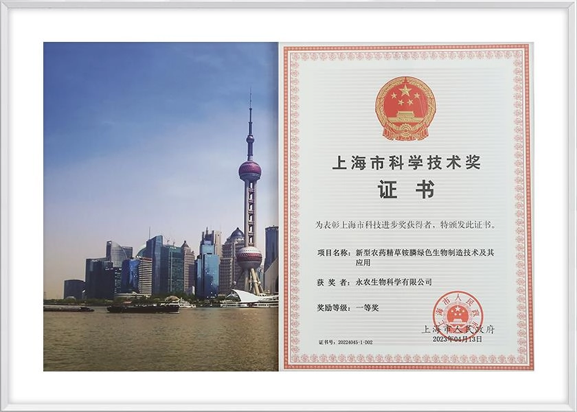 科学技术一等奖